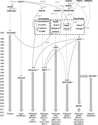 Distinguishing Between Nile Tilapia Strains Using a Low-Density Single-Nucleotide Polymorphism Panel